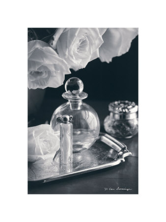 Vintage Vanity Iii by Debra Van Swearingen Pricing Limited Edition Print image