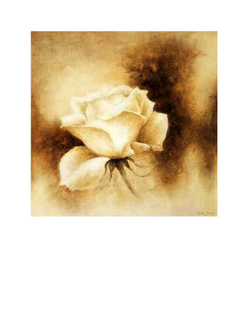 White Rose Ii by Betty Jansma Pricing Limited Edition Print image