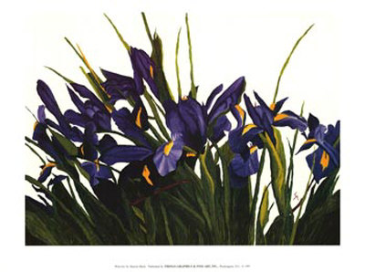 Wild Iris by Sharon Mack Pricing Limited Edition Print image