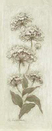 Botanical by Alice Pritchard Pricing Limited Edition Print image