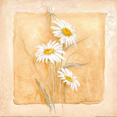 White Daisey by Svetlana Pricing Limited Edition Print image