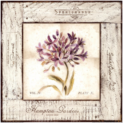Agapanthus Gardens by Lauren Hamilton Pricing Limited Edition Print image