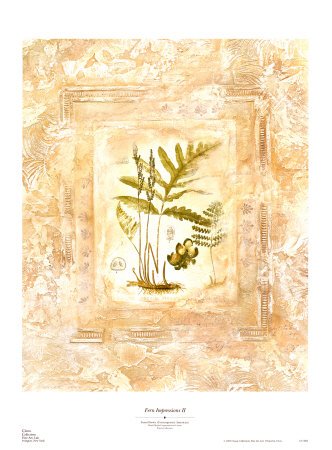 Fern Impressions Ii by Susan Davies Pricing Limited Edition Print image