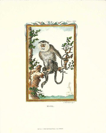 Monkey, Mona by Thomas Bell Pricing Limited Edition Print image