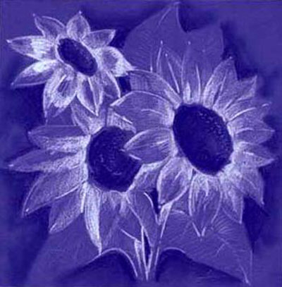 Sunflower Sketch On Purple by Alfred Gockel Pricing Limited Edition Print image
