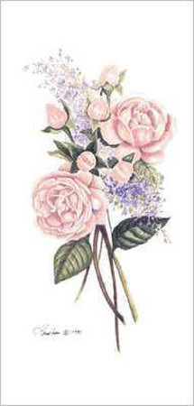 Rose Botanical 1 by Consuelo Gamboa Pricing Limited Edition Print image