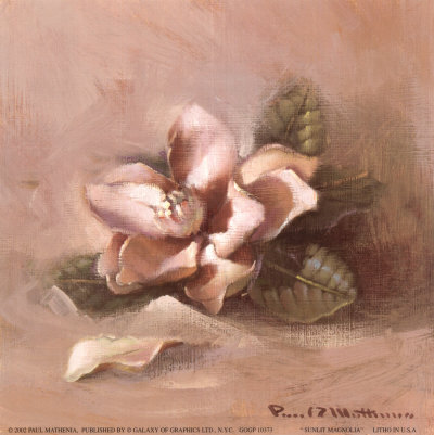 Sunlit Magnolia by Paul Mathenia Pricing Limited Edition Print image