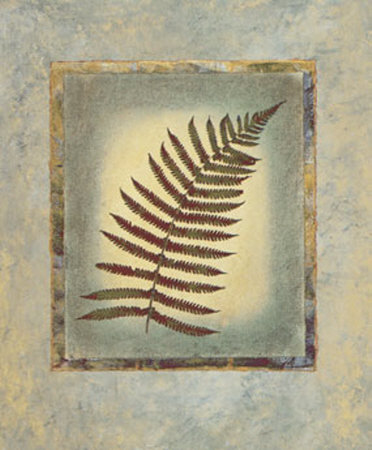 Fern I by Tara Green Pricing Limited Edition Print image