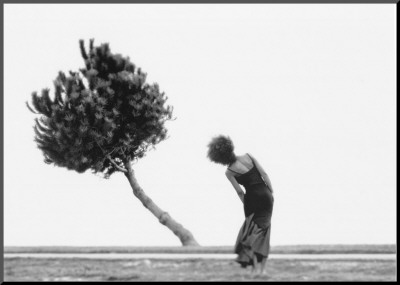 The Tree by Cristiana Ceppas Pricing Limited Edition Print image