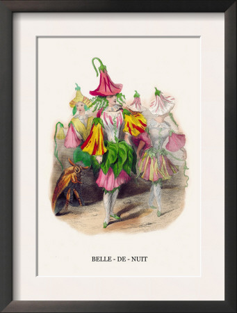 Belle-De-Nuit by J.J. Grandville Pricing Limited Edition Print image