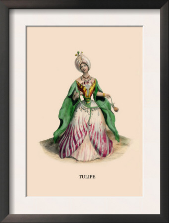 Tulipe by J.J. Grandville Pricing Limited Edition Print image