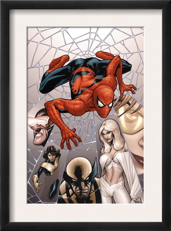 Marvel Knights Spider-Man #6 Cover: Spider-Man by Terry Dodson Pricing Limited Edition Print image