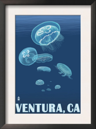 Ventura, California - Jellyfish, C.2009 by Lantern Press Pricing Limited Edition Print image