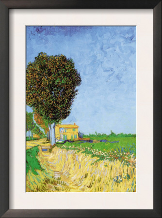 Alane Near Arles by Vincent Van Gogh Pricing Limited Edition Print image