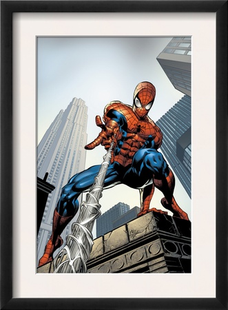 Amazing Spider-Man #520 Cover: Spider-Man Swimming by Mike Deodato Pricing Limited Edition Print image