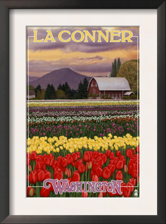 La Conner, Washington - Tulip Fields, C.2009 by Lantern Press Pricing Limited Edition Print image