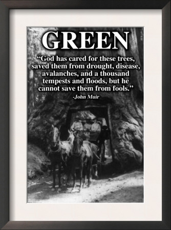 Green by Wilbur Pierce Pricing Limited Edition Print image