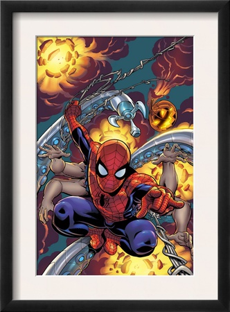 Amazing Spider-Man #526 Cover: Spider-Man by Mike Wieringo Pricing Limited Edition Print image