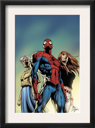 Amazing Spider-Man #519 Cover: Spider-Man, May Parker, And Mary Jane Watson by Mike Deodato Jr. Pricing Limited Edition Print image