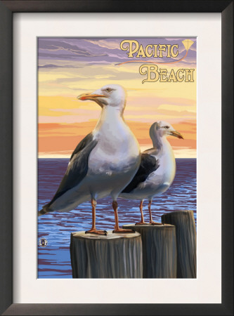 Seagulls - Pacific Beach, Washington, C.2009 by Lantern Press Pricing Limited Edition Print image