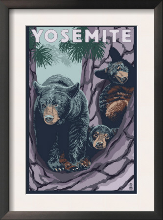 Yosemite National Park, Ca - Black Bears In Treee, C.2009 by Lantern Press Pricing Limited Edition Print image