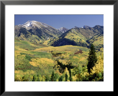 Treasure Mt, White River Nf, Co by Wallace Garrison Pricing Limited Edition Print image