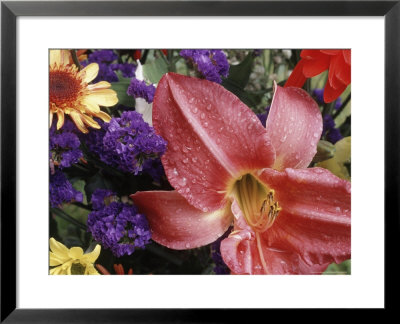 Flowers Sprinkled With Dew by Mitch Diamond Pricing Limited Edition Print image