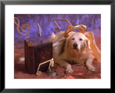 Dog Dressed As Christmas Angel by Frank Siteman Pricing Limited Edition Print image