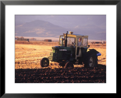 Farmer Plows Barley Field, San Luis Valley, Co by Gary Conner Pricing Limited Edition Print image