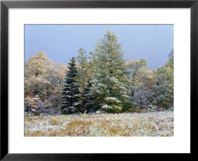 Early Snow Along Rte 73, Adirondack Mountains, Ny by Jim Schwabel Pricing Limited Edition Print image