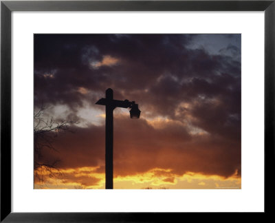 Street Light And Sunrise, Long Island, Ny by Ronald Lewis Pricing Limited Edition Print image