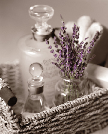 Lavender Tray by Julie Greenwood Pricing Limited Edition Print image