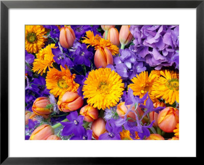 Summer Flowers, Calendula, Tulipa, Delphinium, Hydrangea Blue & Orange Theme by Linda Burgess Pricing Limited Edition Print image
