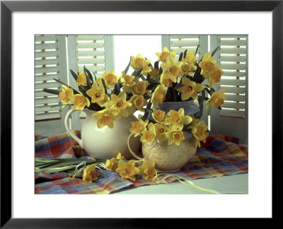 Spring Flower Arrangement Of Narcissus In Jugs, Checked Cloth by Erika Craddock Pricing Limited Edition Print image