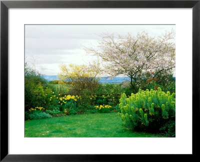 Garden With Views Towards The Great Glen, Scotland by Lynn Keddie Pricing Limited Edition Print image