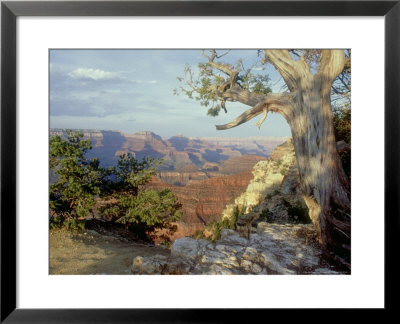 Grand Canyon National Park, Arizona, Usa by Olaf Broders Pricing Limited Edition Print image