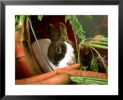 Rabbit With Carrots by Alan And Sandy Carey Pricing Limited Edition Print image