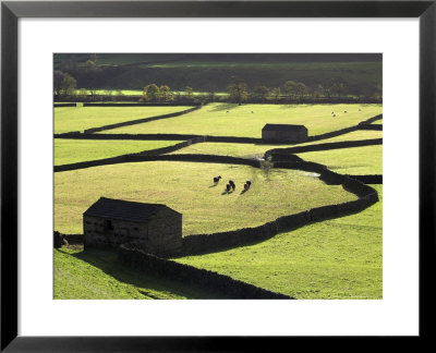 Barns At Swaledale, Uk by David Clapp Pricing Limited Edition Print image