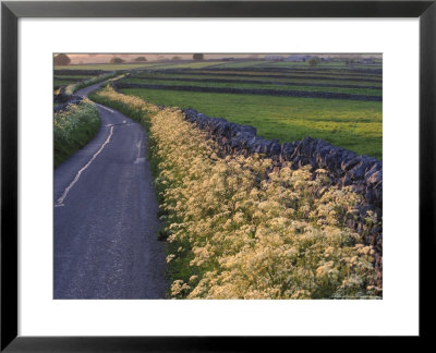 Country Lane, Derbyshire, England by Mark Hamblin Pricing Limited Edition Print image