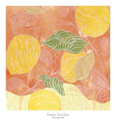 Citrus Limon Ii by Ouida Touchon Pricing Limited Edition Print image