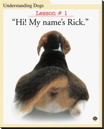 My Name Is Rick by Yoneo Morita Pricing Limited Edition Print image