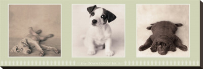 Low-Down Doggy Blues by Rachael Hale Pricing Limited Edition Print image