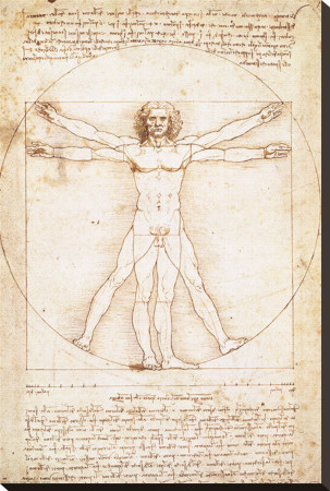 Vitruvius Man by Leonardo Da Vinci Pricing Limited Edition Print image