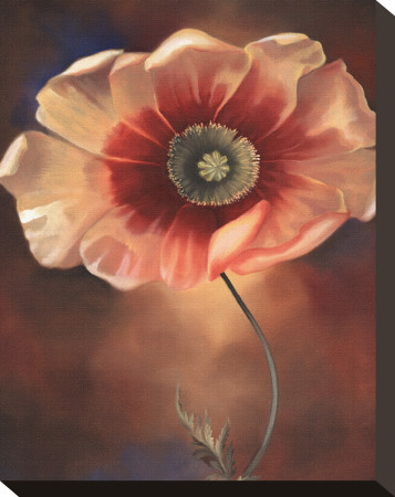 Poppy I by Louise Montillio Pricing Limited Edition Print image