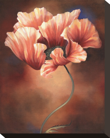 Poppy Ii by Louise Montillio Pricing Limited Edition Print image