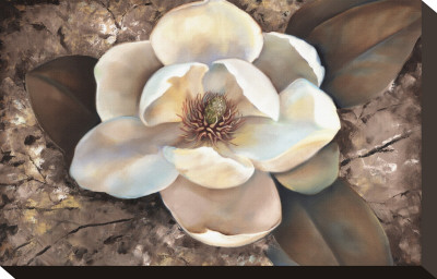 Magnolia Ii by Louise Montillio Pricing Limited Edition Print image