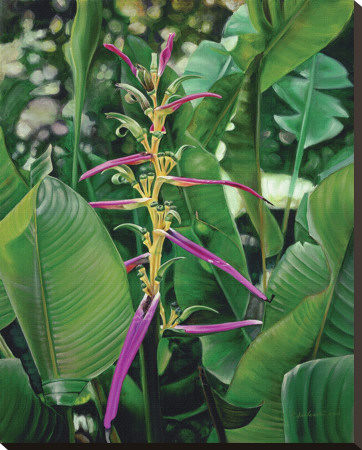 Heliconia by Pamela Jablonski Pricing Limited Edition Print image