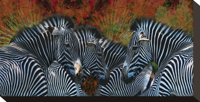 Zebras by Melinda Bradshaw Pricing Limited Edition Print image