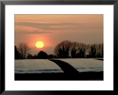 Sunset With Crops Under Plastic, Sussex, Uk by Ian West Pricing Limited Edition Print image