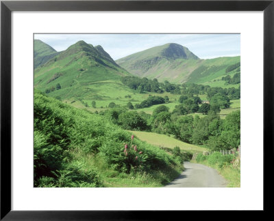 View South To Fells Of Hindscarth On Left And Robinson On Right, The Lake District, Uk by Ian West Pricing Limited Edition Print image